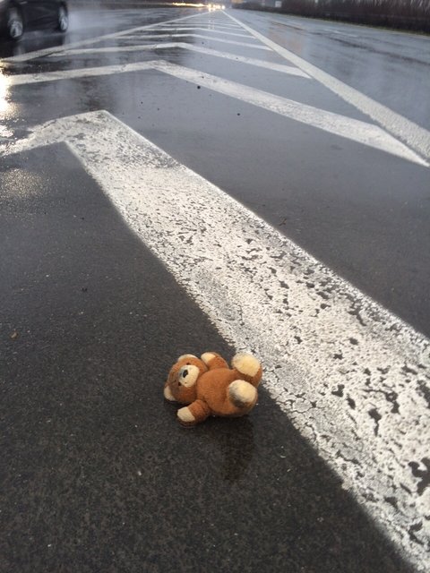 Diesen Teddy retteten Beamte auf der B 236. | Foto: Polizei Dortmund