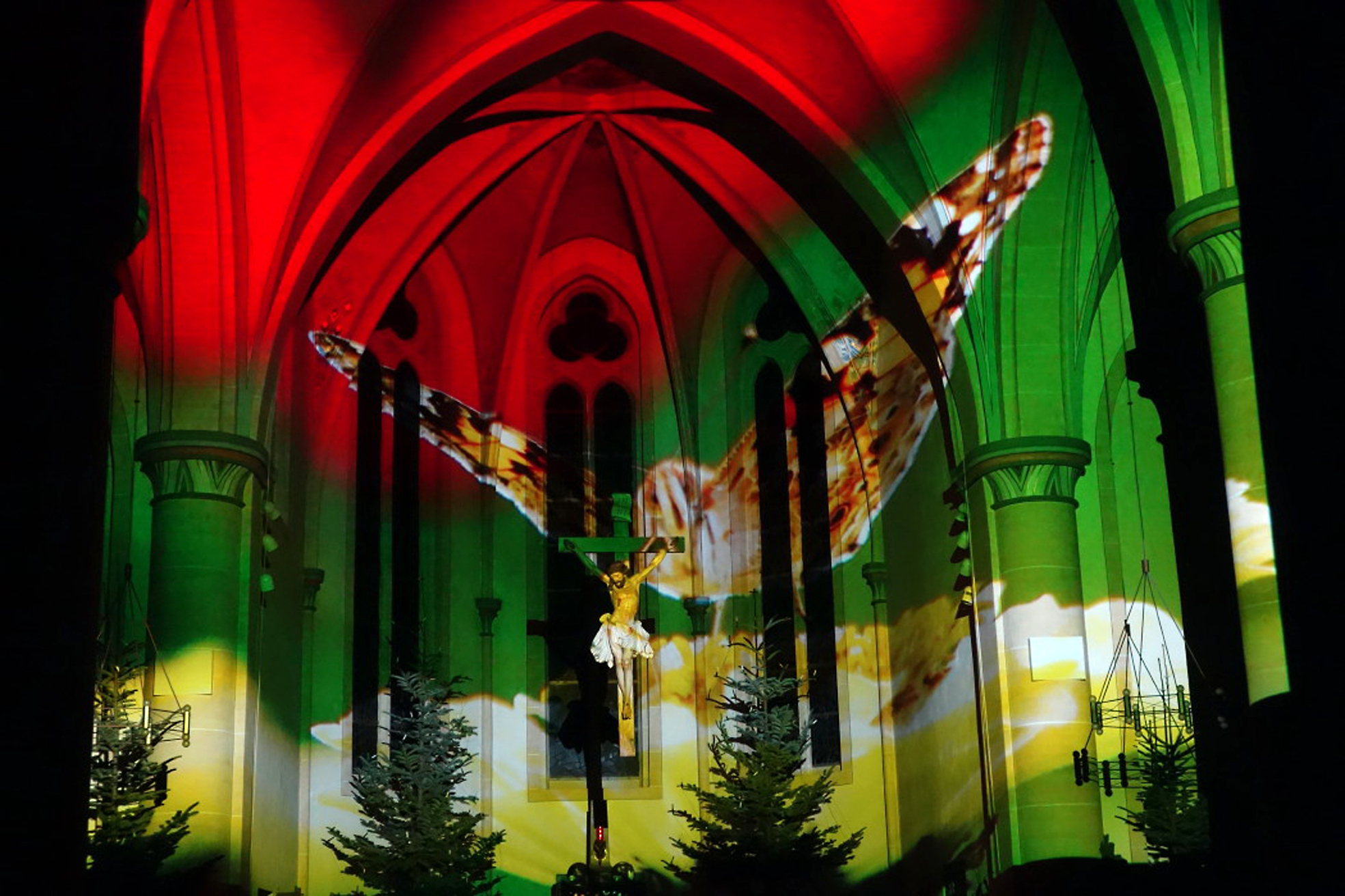 „Sternstunden aus dem eigenen Leben“, d.h. private Fotos von Gemeindereferentin Andrea Kreklau wie dieses Bild eines Schmetterlings auf einer Blüte, aber auch eine Video-Installation von Weltraumbildern wurden beim „Gesegneten Sonntagabend“ tauchten den Chorraum der dunklen Asselner St. Joseph-Kirche in wechselnde Bilder.