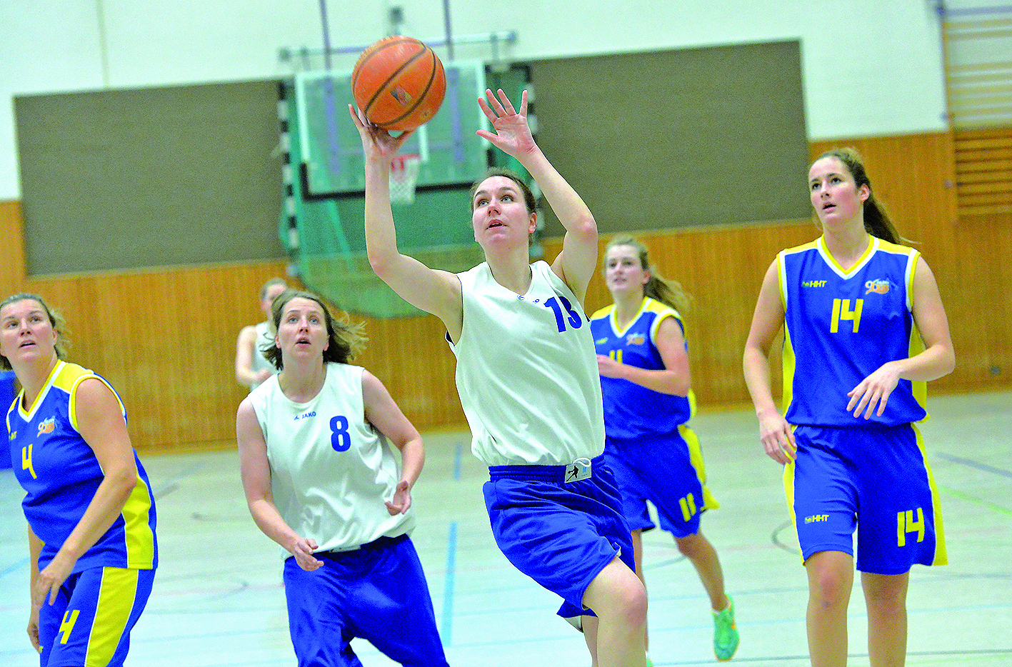 Die Basketballerinnen des WTB empfangen Mettmann-Sport.