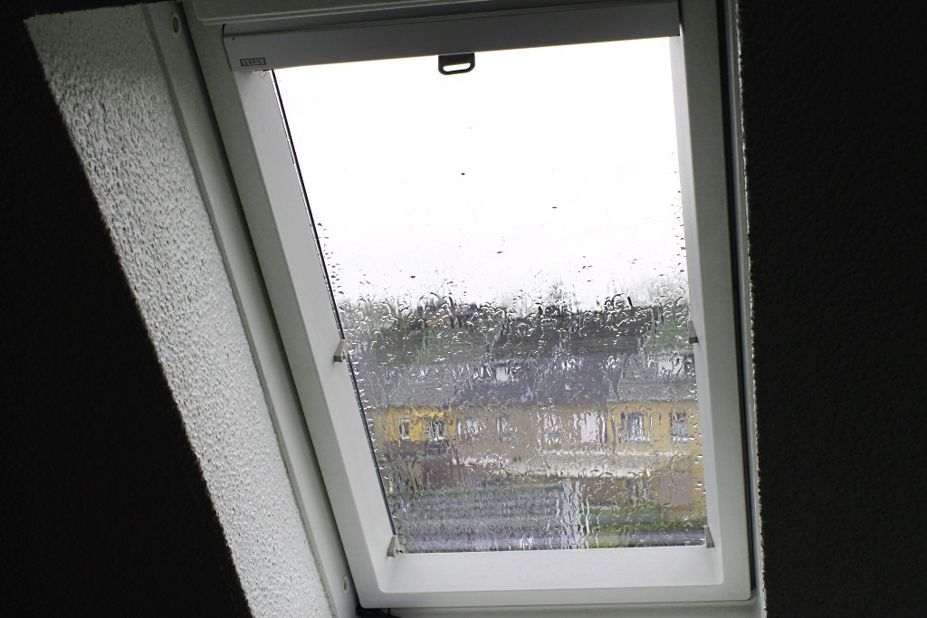 Freitag: Der Vormittag war ja noch trocken, aber dann? ;-( REGEN ;-(