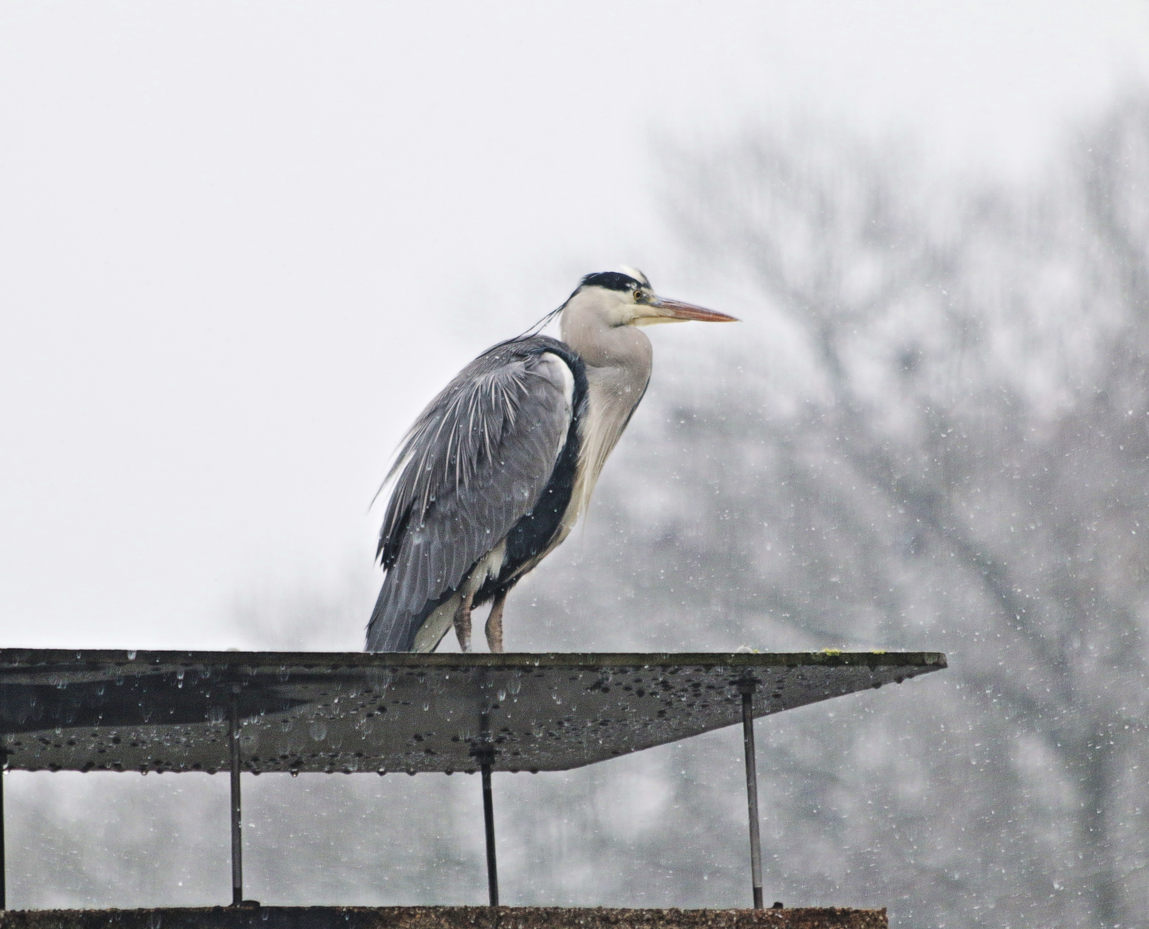 Alles im Blick .............