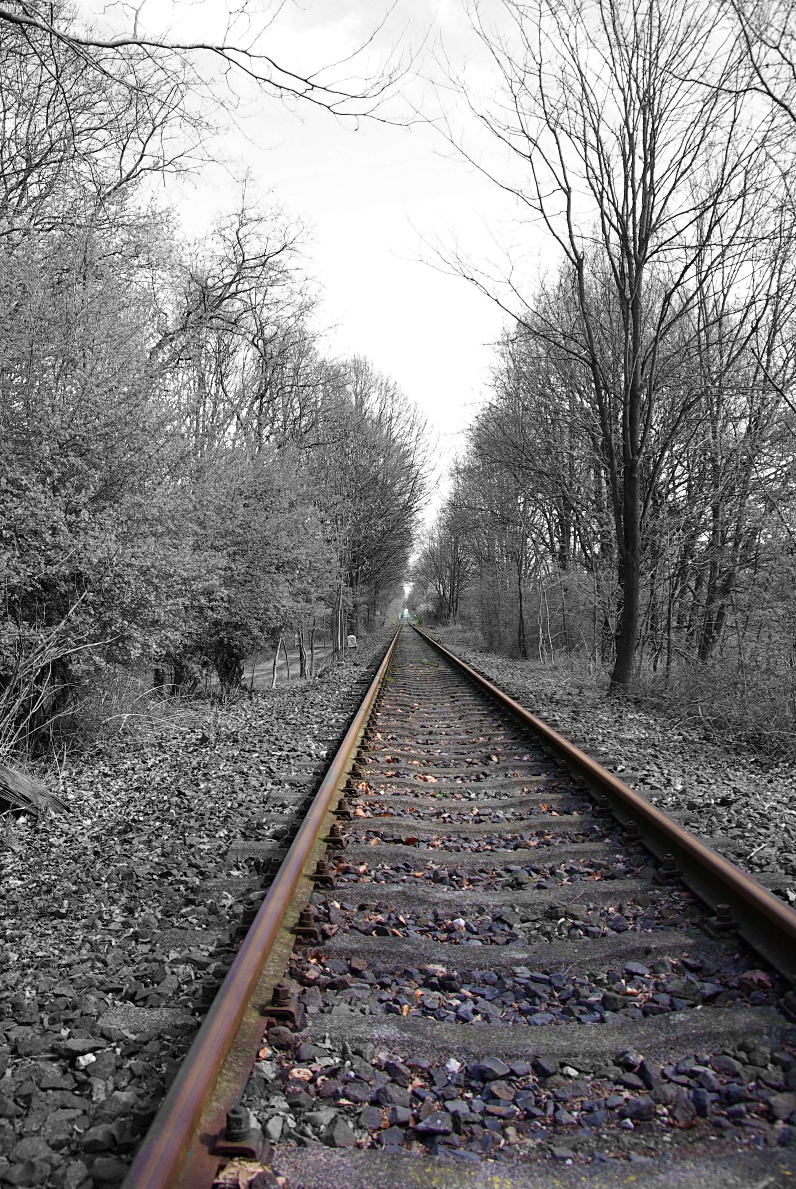 Die Schiene