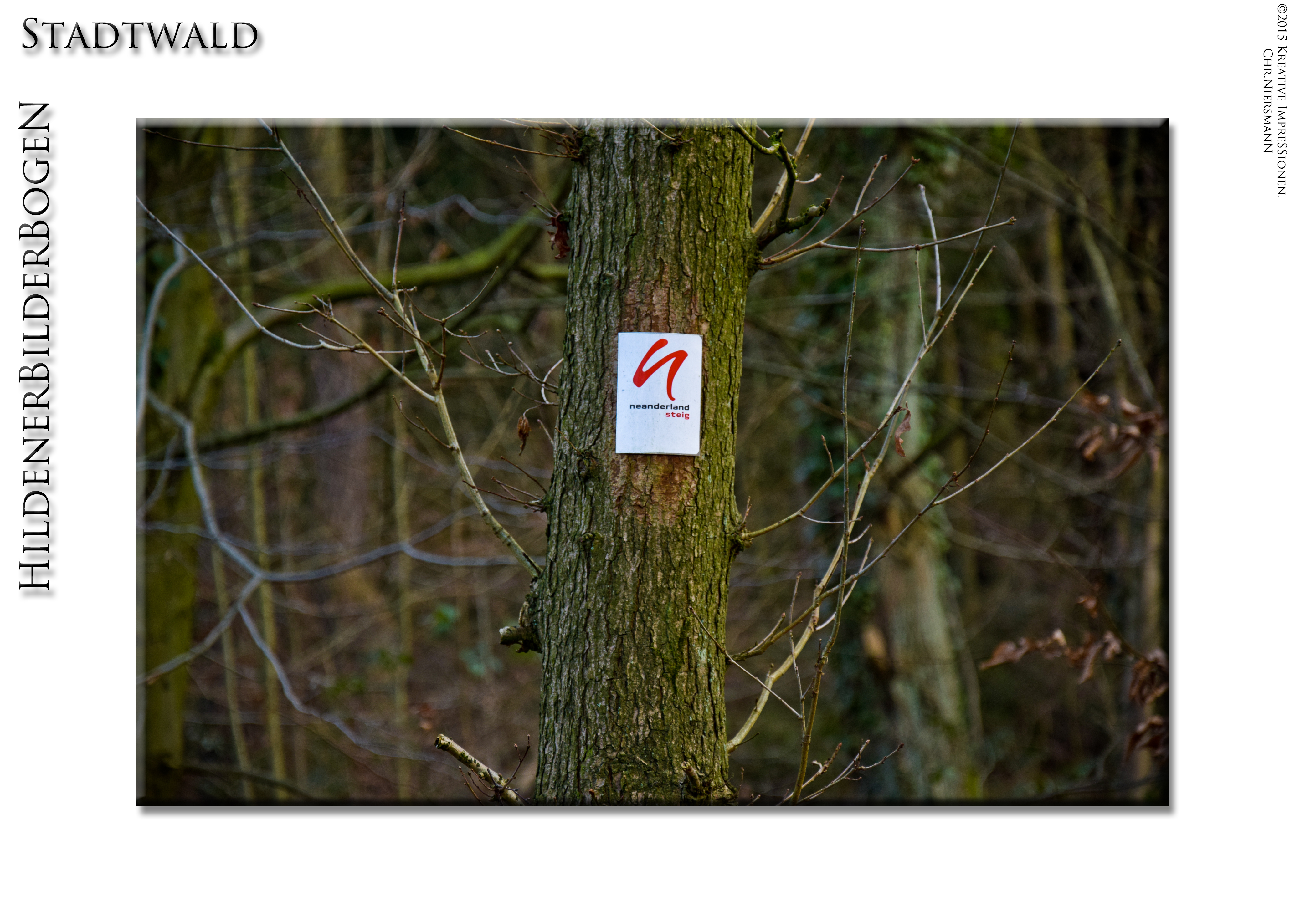 HildenerBilderBogen ´ 15 - Stadtwald, Neandersteig © 2015,Kreative ImpressioneN, Chr. Niersmann