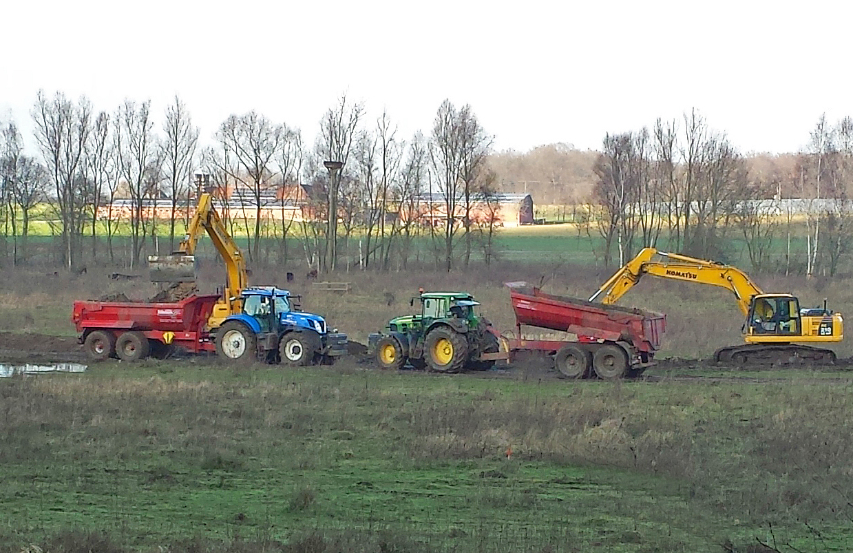 Bagger und LKWs bewegen große Erdmengen in der Steveraue, um eine Umflut zu gestalten. Foto: Werner Zempelin