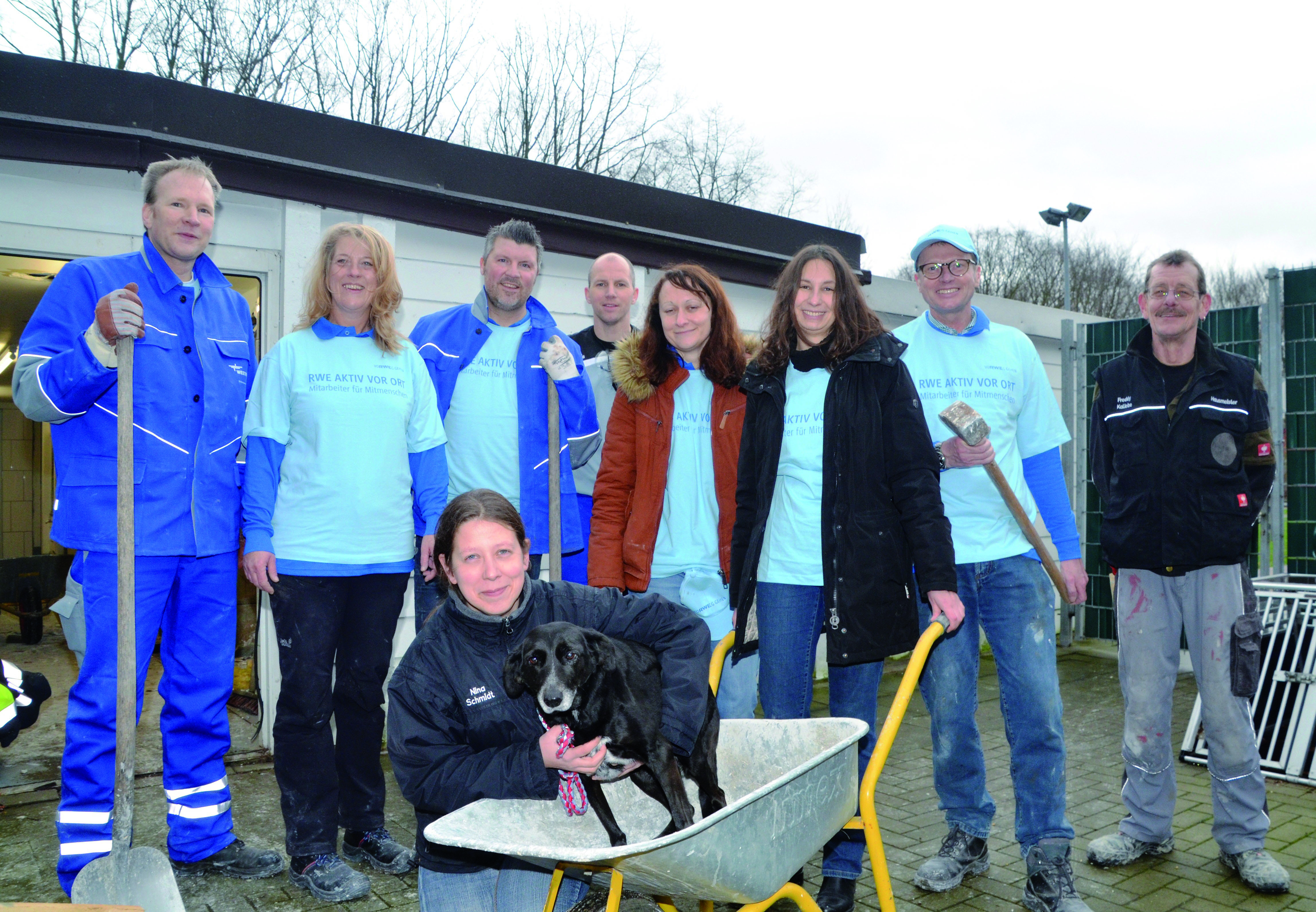 Sieben RWE-Mitarbeiter waren aktiv vor Ort: Matthias Drost (Leiter Netzplanung), Gudrun Salow, Tierheimleiterin Nina Schmidt (knieend mit Hund Pina), Sven Höbing, Bernd Schneider, Annika Becker, Christiane Broscheit, Jens Freisenhausen (Leiter Regionalzentrum Recklinghausen) und Freddy Kaliebe (r., Hausmeister).