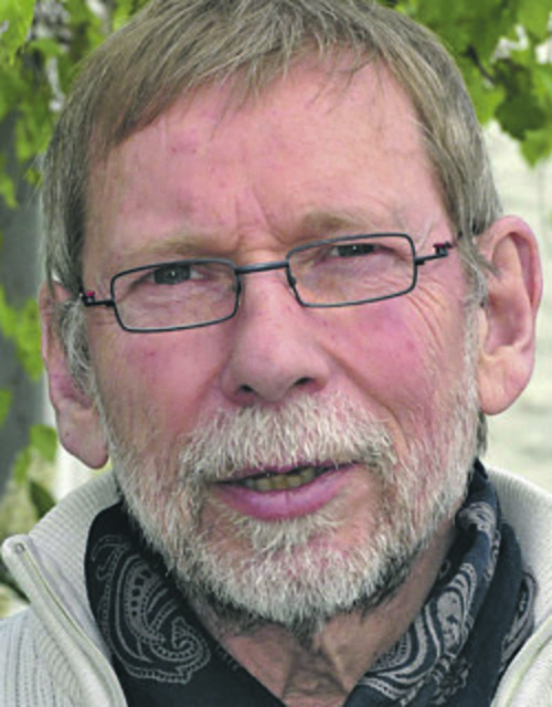 Friedhelm Knippel, Fraktionschef der Linken