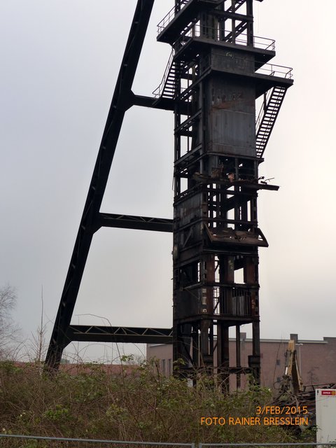 Foto: Rainer Bresslein