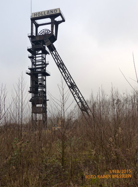 Foto: Rainer Bresslein