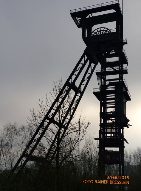 Foto: Rainer Bresslein