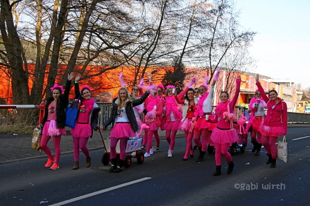 Karnevalsumzug in Sundern 2015 - Sundern (Sauerland)