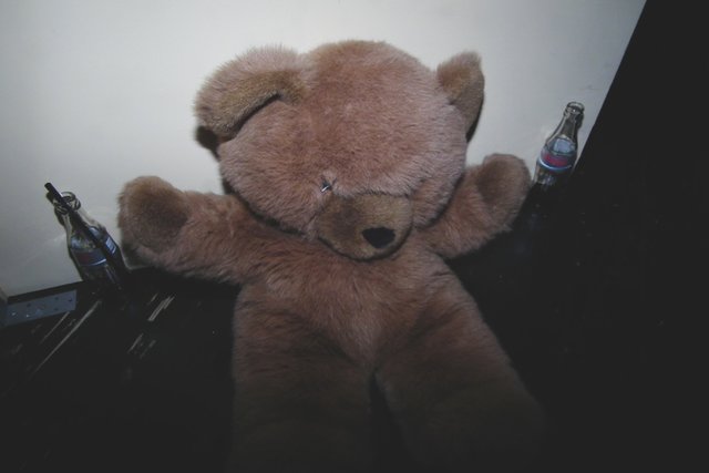 Diesen Bär knuddelt Frederike auf der Bühne.