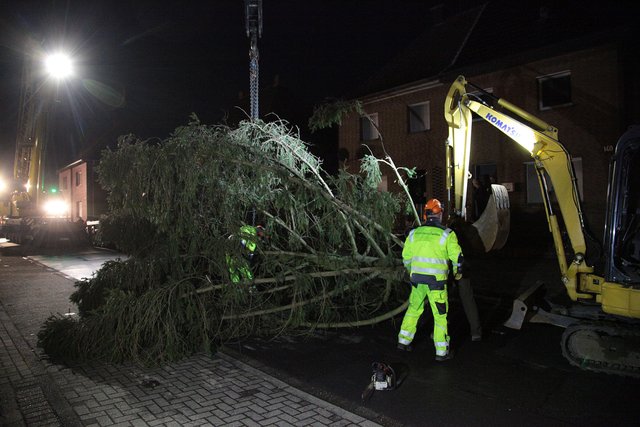 Selm erlebte am Abend eine aufwändige Fällaktion. | Foto: Magalski