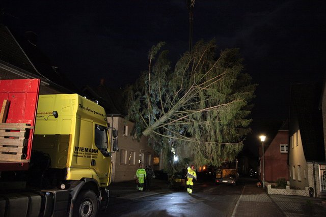 Selm erlebte am Abend eine aufwändige Fällaktion. | Foto: Magalski
