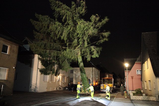 Die Tanne, ein echter Koloss, baumelt am Autokran über der Straße. | Foto: Magalski