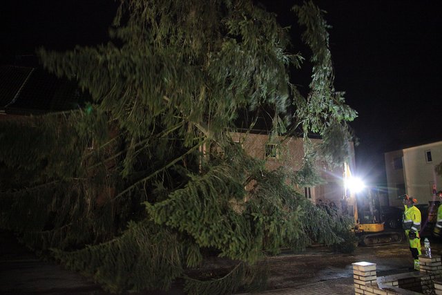 Selm erlebte am Abend eine aufwändige Fällaktion. | Foto: Magalski