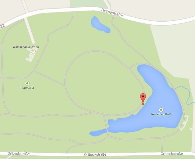 Die südöstliche Ecke des Stadtwaldes (Bild: Google Maps) | Foto: Google Maps