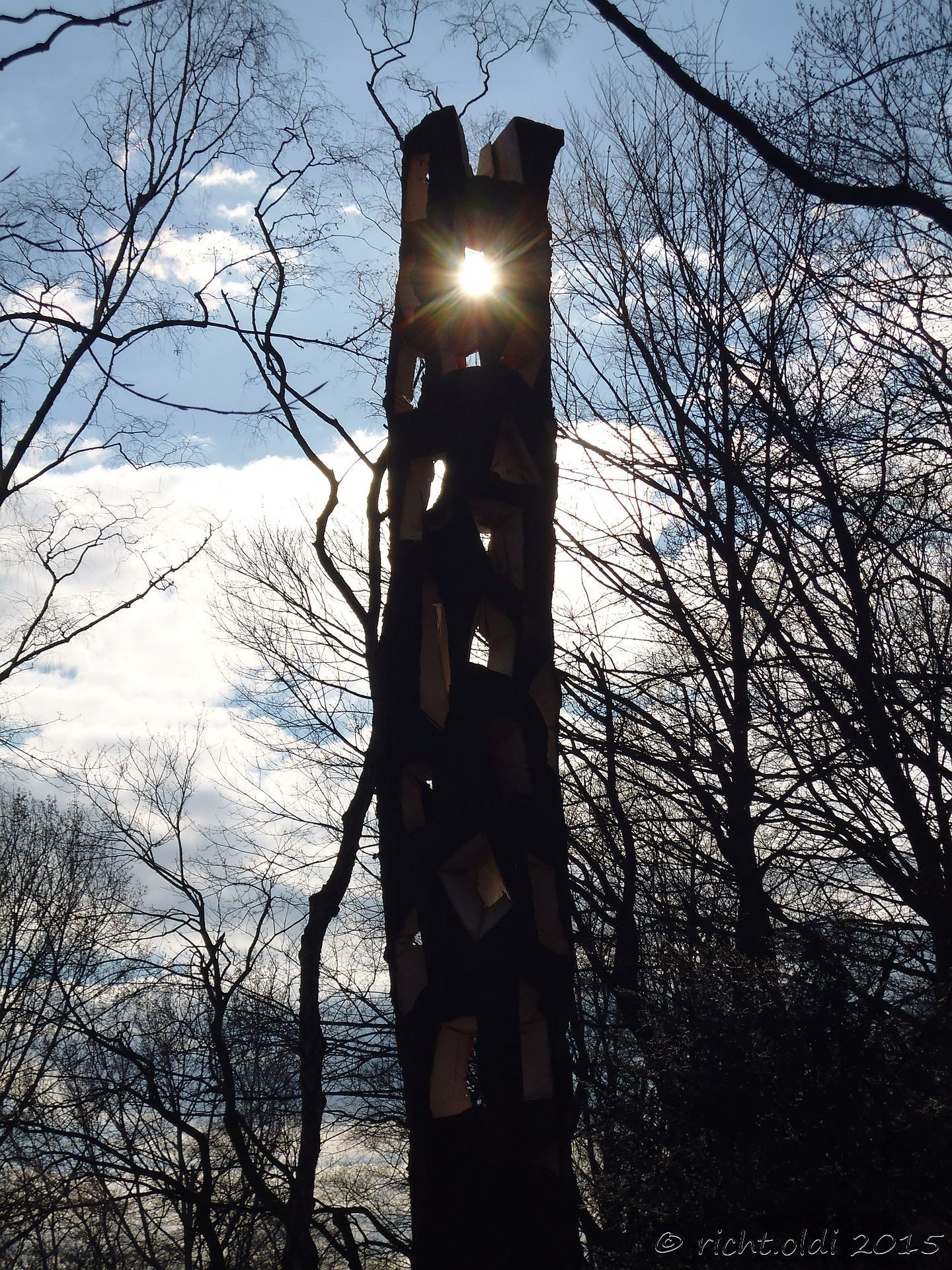 Im Gegenlicht erinnert diese 7,4m hohe Baumskulptur sehr an die Ruine eines Turmes. Tatsächlich entstand sie aus einer Kastanie, die durch den Sturm Ela an Pfingsten 2014 "ruiniert" worden war. (Foto: T. Richter-Arnoldi)