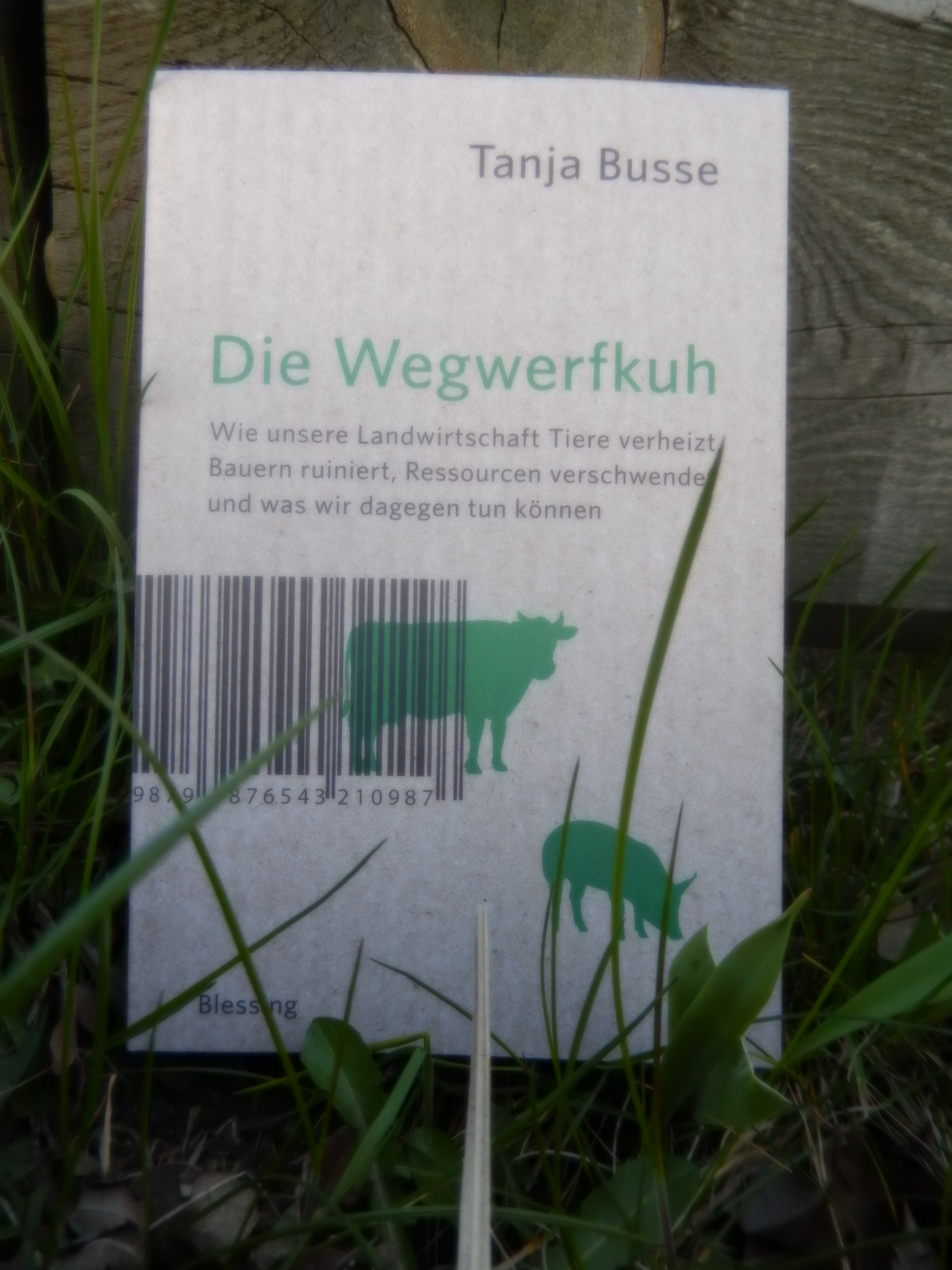 Die Wegwerfkuh - Wie unsere Landwirtschaft Tiere verheizt, Bauern ruiniert, Ressourcen verschwendet und was wir dagegen tun können