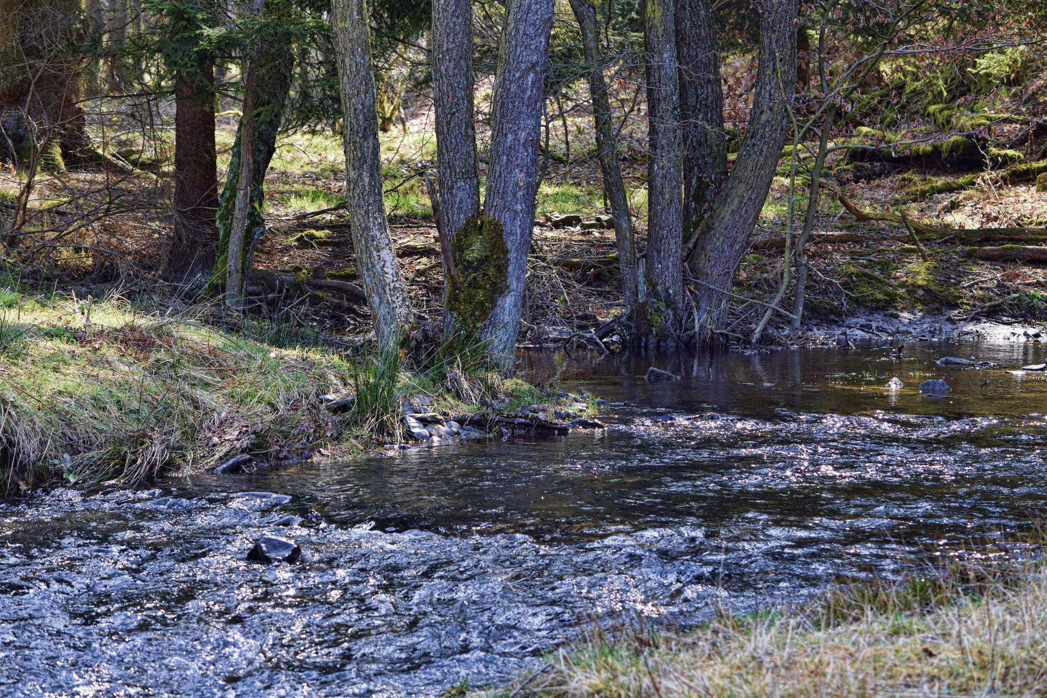 Entlang von Heve und großer Schmalenau Teil 2 Arnsberg