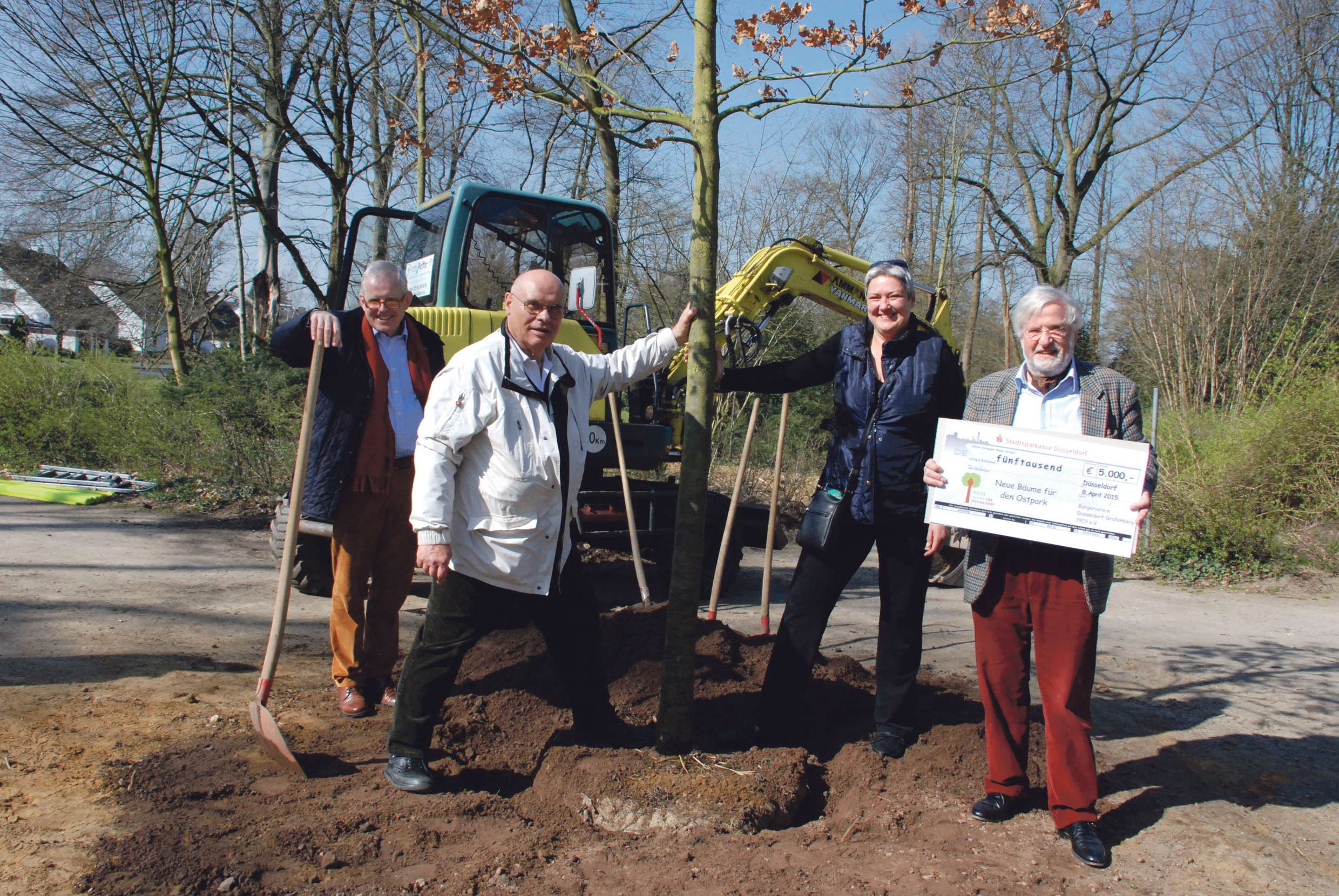 Hier packt der Vorstand selbst mit an: Prof. Günter Scherrer, Reinhard Naujoks, Falk Mathieu und Susanne Hummen vom Bürgerverein Grafenberg beim Pflanzen der neuen Eiche am Rande des Ostparks.