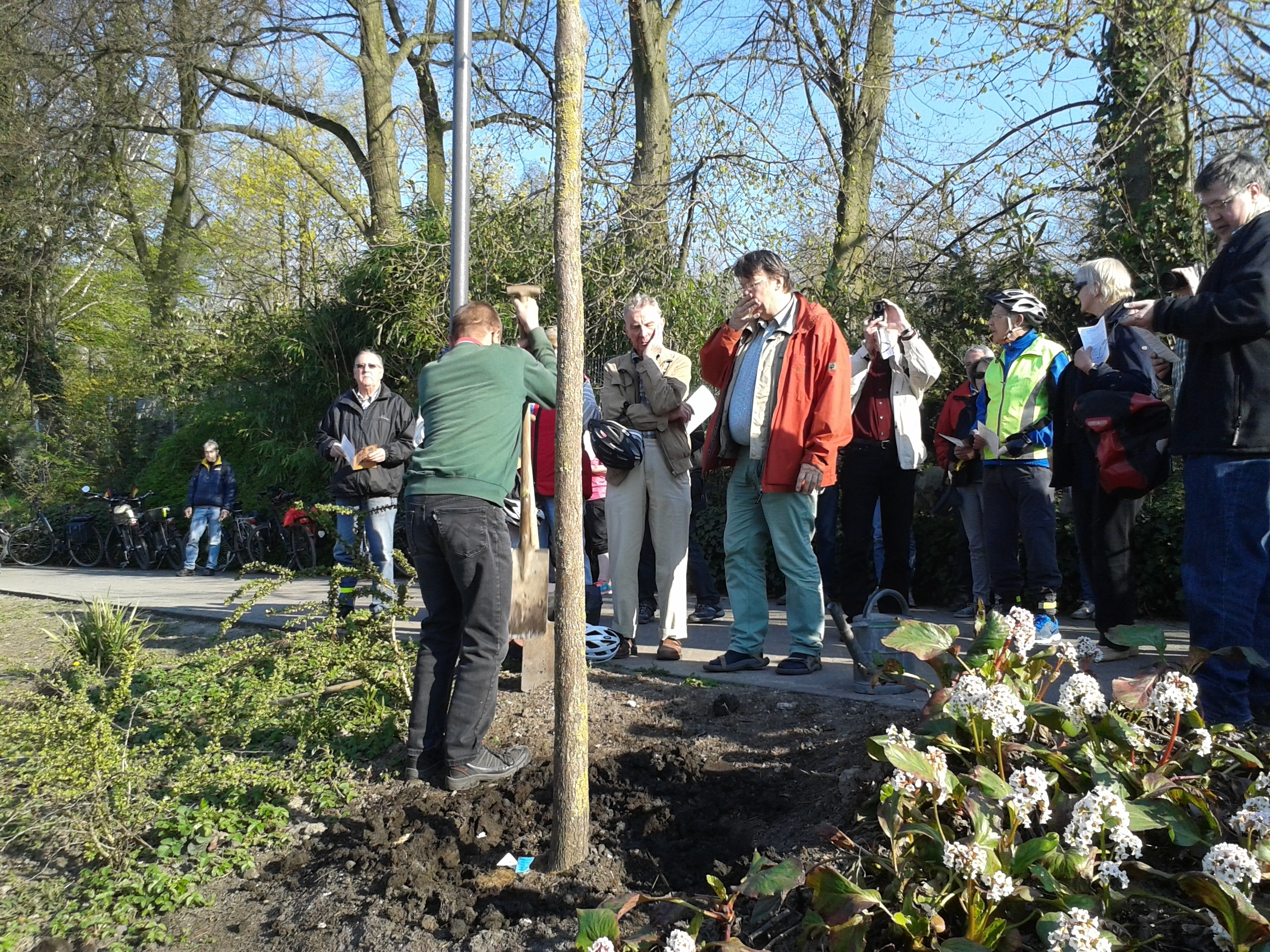 Baumpflanzaktion an der Grugatrasse. Im Bild ganz rechts Stadtdechant Dr. Jürgen Cleve