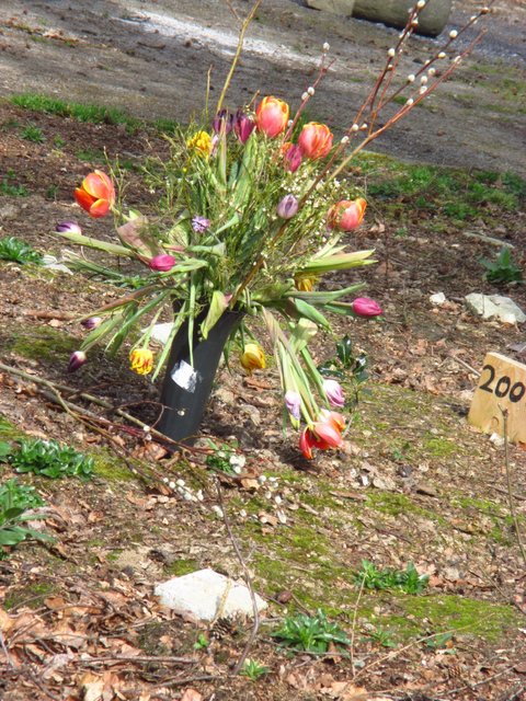 ...nach den Unwettern ...