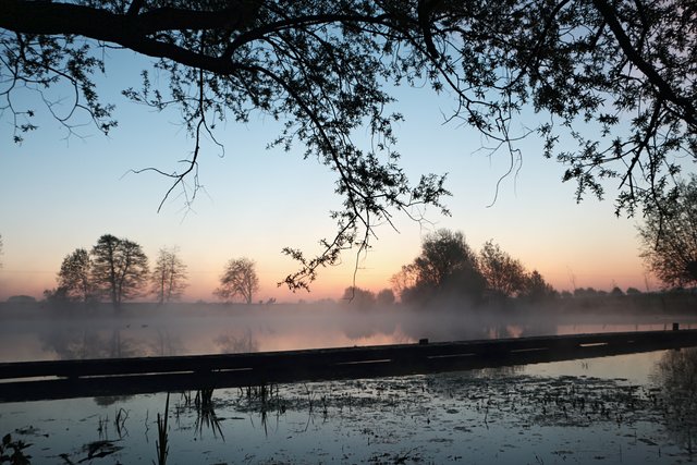 Stille am Teich ................
