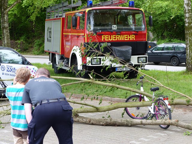 Foto: Rainer Bresslein