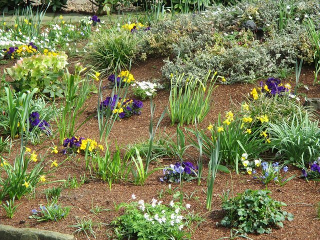 wieder neu und frisch bepflanzt ...