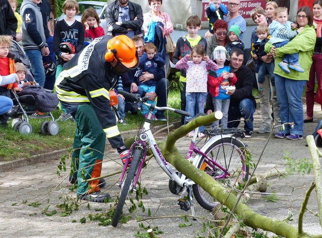 Foto: Rainer Bresslein