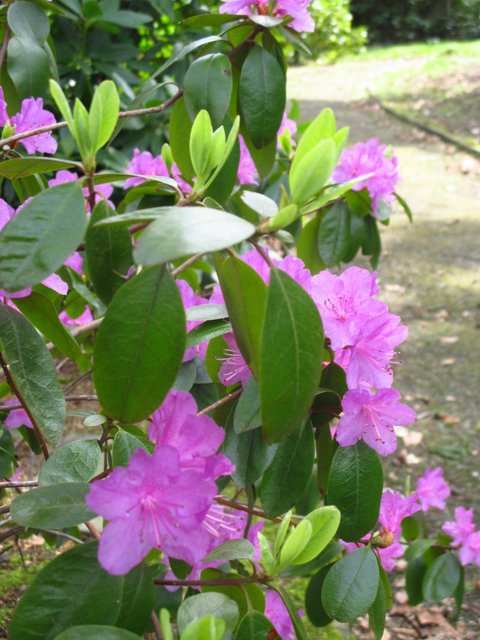 Fröhlich leuchtend, oder mahnend ...?!