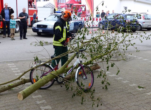 Foto: Rainer Bresslein