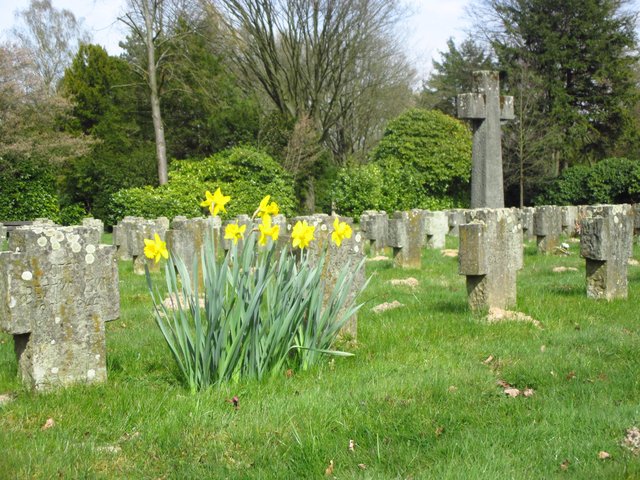 Gelb und Grün...Hoffnung?!