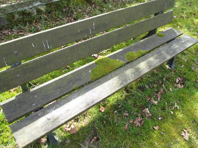 zwar nicht sehr einladend, aber zur Muße und Ruhe, zum Frieden ... aufschreiend!?