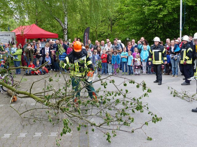 Foto: Rainer Bresslein