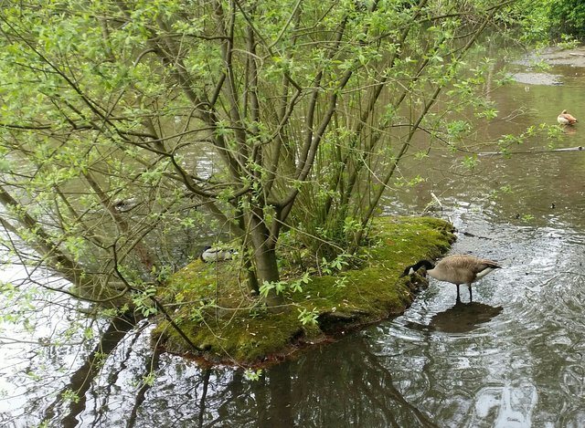 Hier ist der Tisch gedeckt.