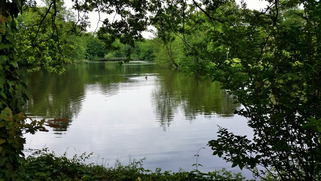 Schaufenster in die Idylle.