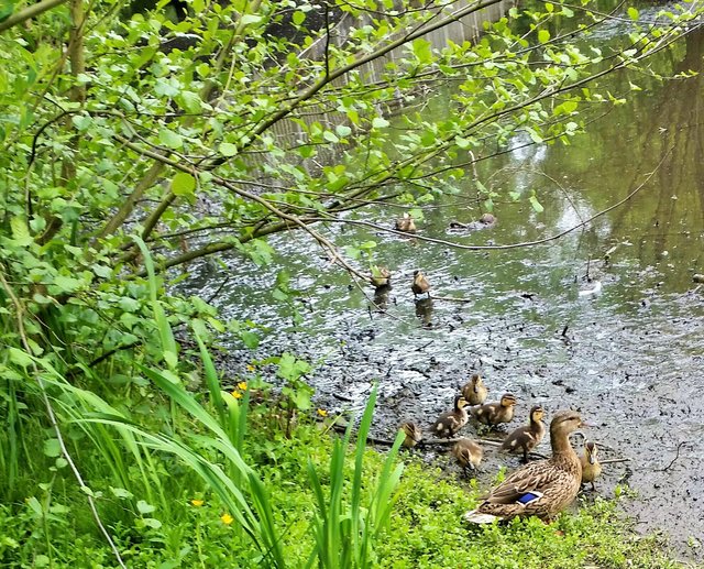 Mal sehen, wer da kommt .....