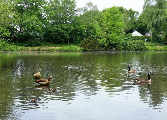 Wir vertragen uns alle.....