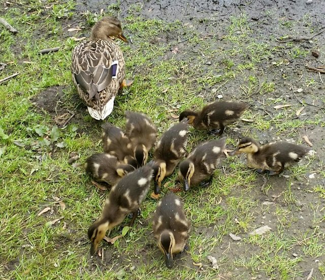 Wir haben großen Hunger ....