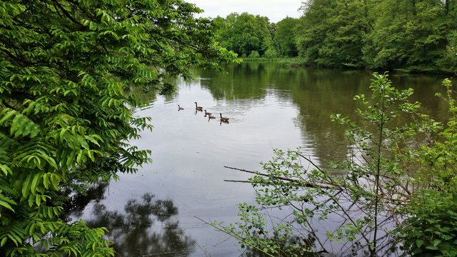 Ganz schön romantisch hier ....