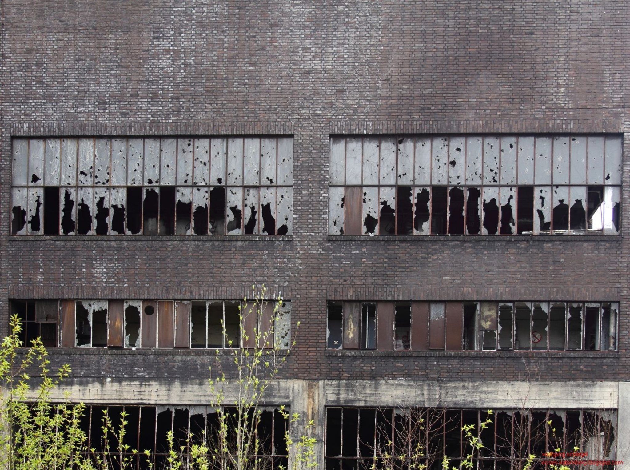 fenster in essenkaternberg EssenNord