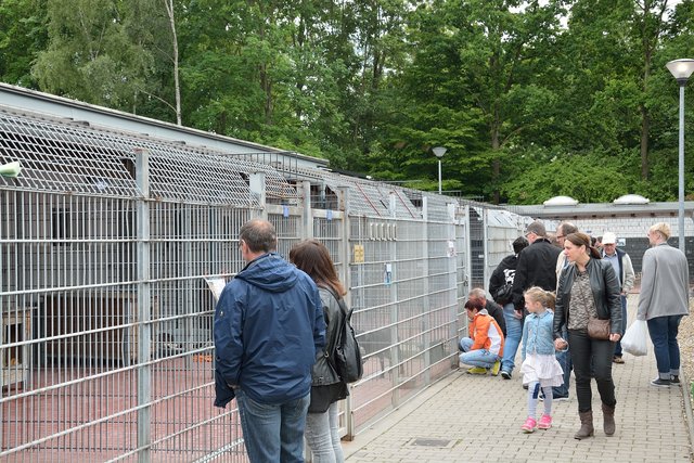 Sommerfest 2015 im Tierheim Gelsenkirchen.Foto:Kurt Gritzan