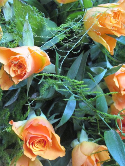 ...das ist ein RosenSträußchen´, also NICHT in der "Maggihöhe" geknippst"