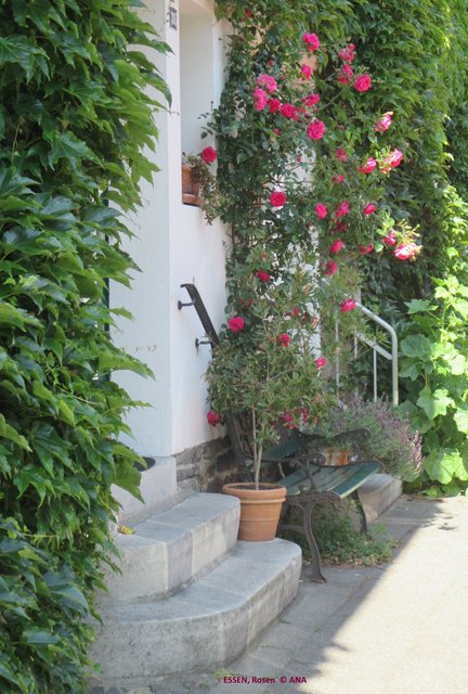 an Häusern emporragend... einfach schön, Margarethenhöhe Essen