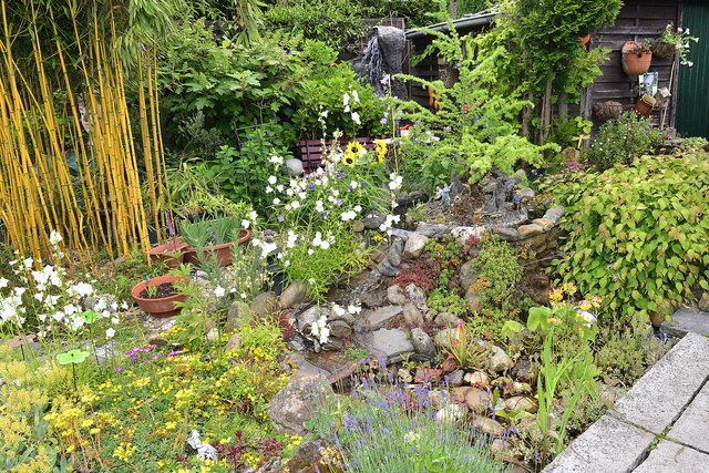 Fotostrecke: Offene Gartenpforte bei Angelika & Lothar Schulz - Gladbeck