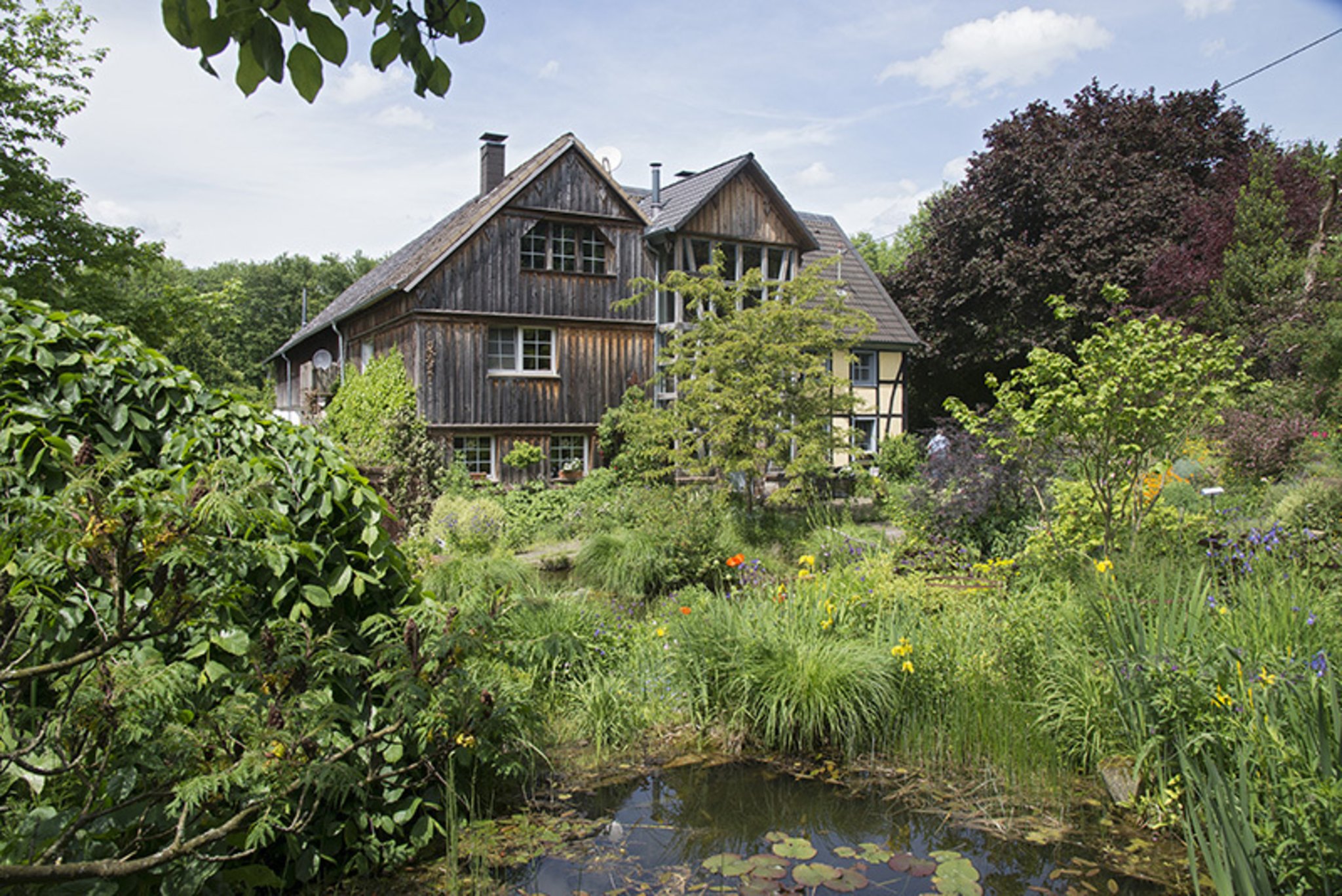 Dinslaken/Voerde/Hünxe Sommer, Sonne, Blütenrausch Auf Gartentour im