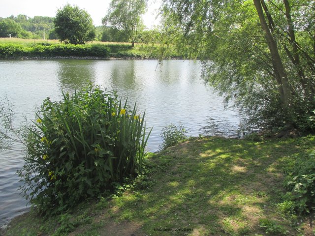 in Essen... läßt es sich leben ...