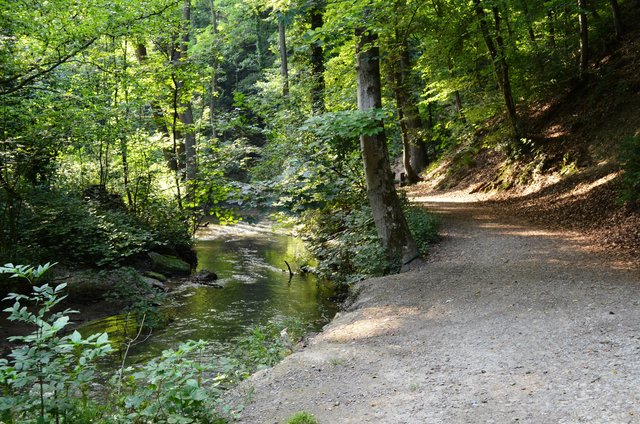 Romantische Idylle in Düssel. Foto: Kreis Mettmann
