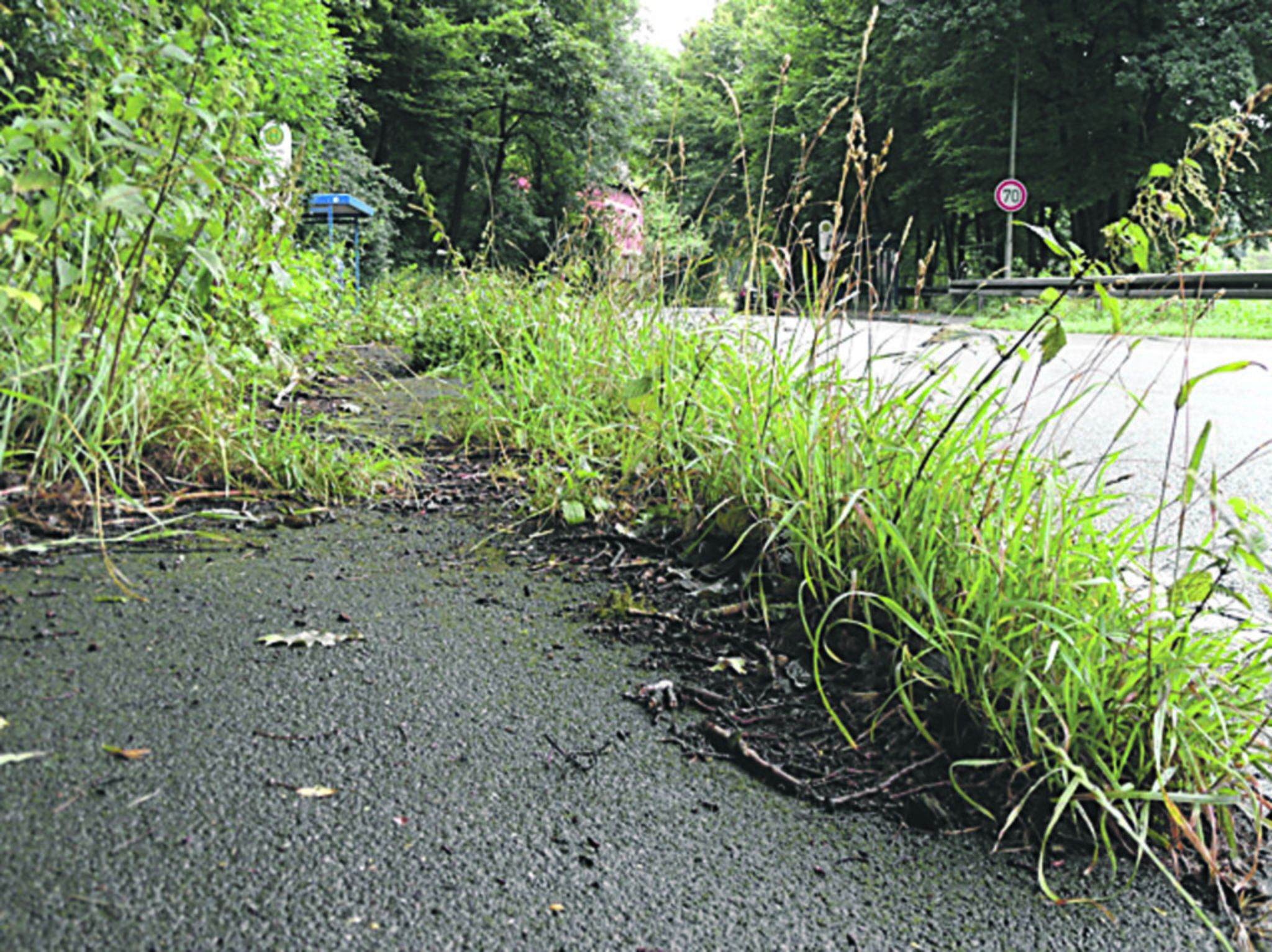 Wächst Hattingen zu wie hier in Bredenscheid? Hattingen